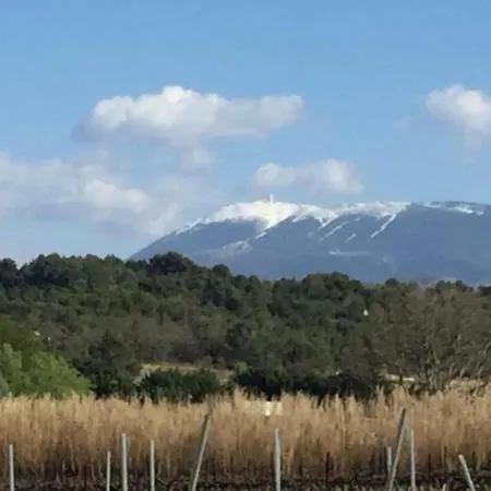 House Les Oliviers 2 * Vinsobres